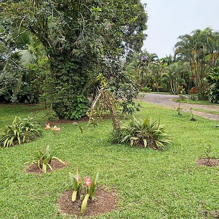 Posada Rural Río Celeste Katira Exterior foto